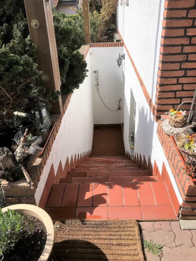 Ferienwohnung Hoppelnase Mit Eigener Sauna Langenstein Eksteriør billede